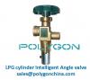 LPG gas cylinder Angle valves