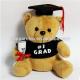 Graduate Bear Stuffed Plush Toys