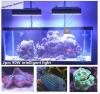 Dsuny LED dimmable aquarium light for saltwater aquarium fish tank