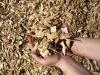 Rubber Wood Chips From Vietnam For Power Plant / Pulp Paper / Heating System