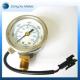 Internal CNG Pressure Gauge, Natural Gas Pressure Gauge,CNG Meter