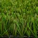 Natural Landscape Grass for Garden