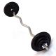 Solid Steel Weight Curl Weightlifting Barbell