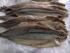 Dried Mackerel Fish