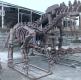 Man-made dinosaur fossil skeleton model for dinosaur museum