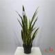 High Similiar Artificial Potted Plant