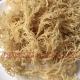 Natural dried sea moss /eucheuma cottonii seaweed with high quality for exporting
