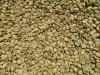 Robusta Cherry PB Unwashed Green Coffee Beans
