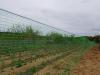 MESH PLASTIC NET 100% HDPE FOR AGRICULTURE, CONSTRUCTION,...