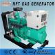 15KW18KVA Biogas Generator