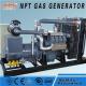 250kw Natural Gas Generator