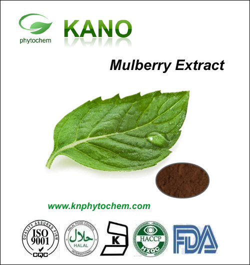 Morus Albal Extract 1%-2%DNJ by HPLC