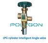 Intelligent LPG gas cylinder Angle valve & Quick on valve