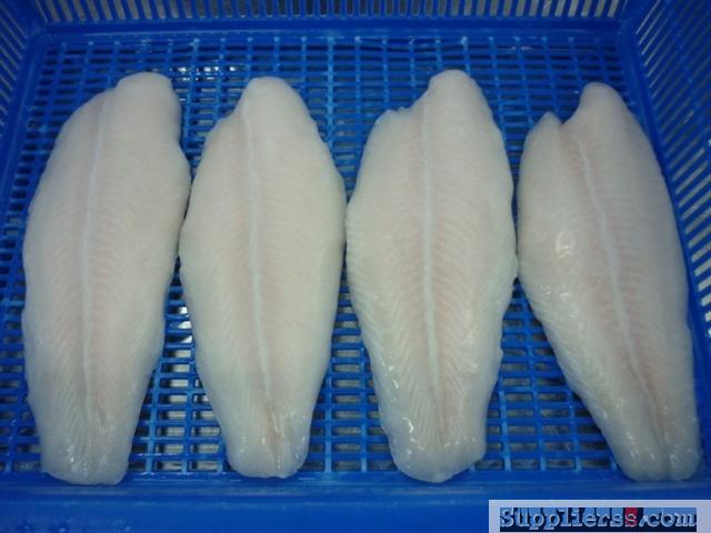 Frozen Pangasius White fillet, welltrimmed, high quality with cheap price