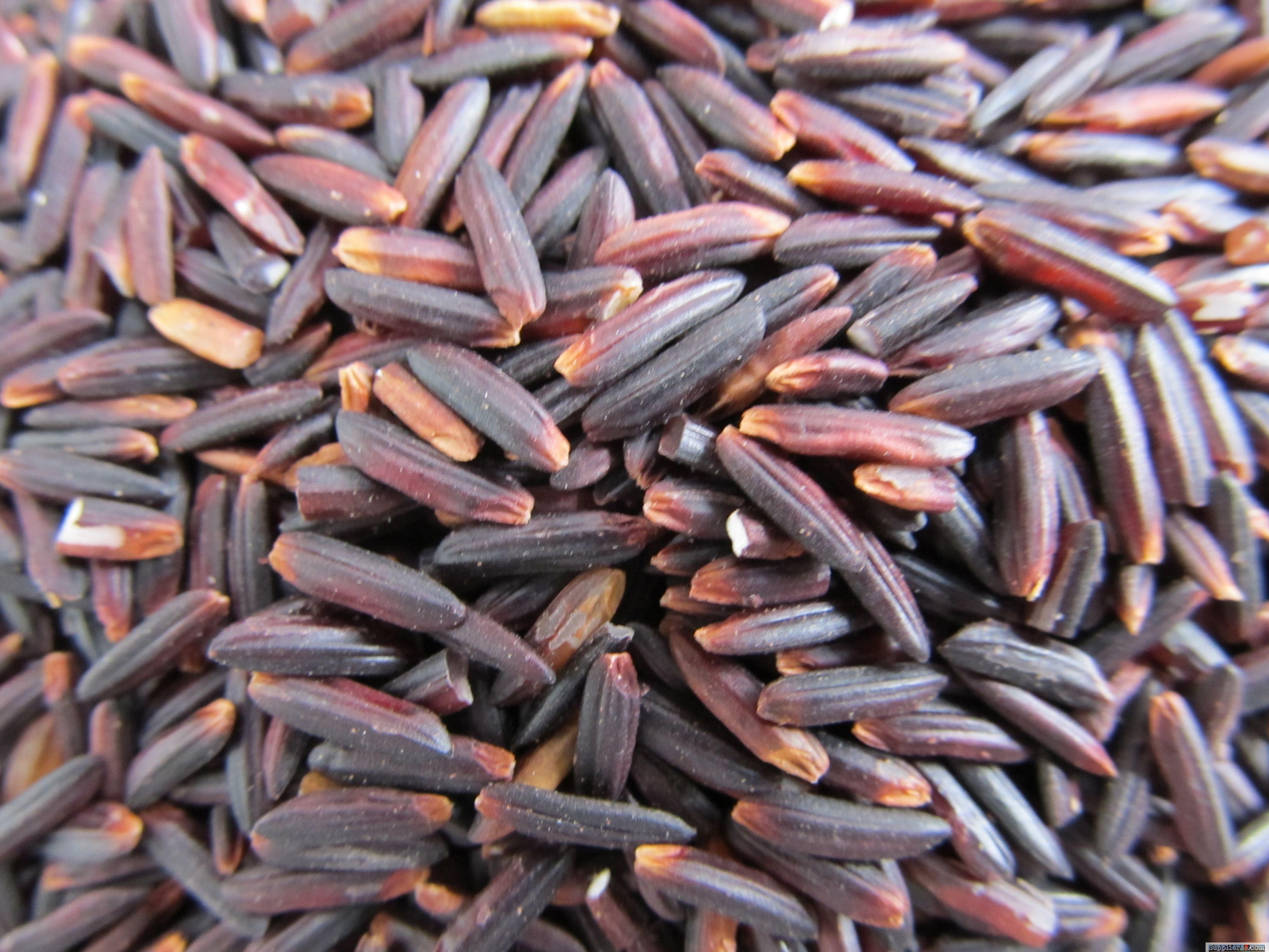 Black Rice From Vietnam / Herbal Purple Rice From Vietnam With High Quality For Sales