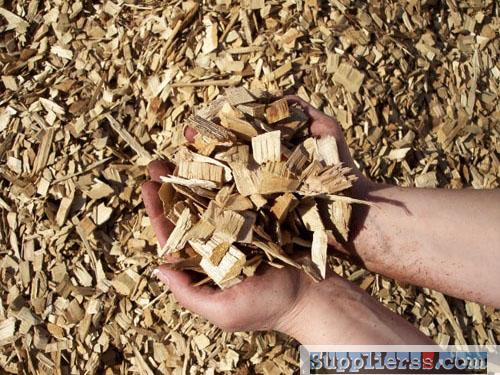 Rubber Wood Chips From Vietnam For Power Plant / Pulp Paper / Heating System