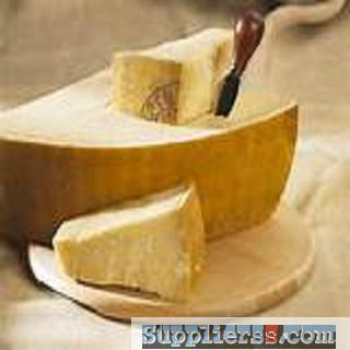 Parmesan Cheese Taste Seasoning Powder