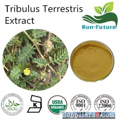 Tribulus Terrestris Extract ,China factory supplier tribulus terrestris powder ,pure natur