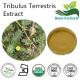 Tribulus Terrestris Extract ,China factory supplier tribulus terrestris powder ,pure natur