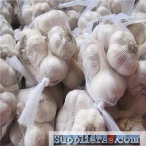 China Cangshan 4,6 Cloves Fresh Garlic Packed In Mesh Bags