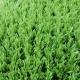 The low cost and basketball green Artificial Grass