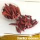 Dried red pepper without stem good quality