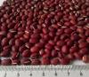 New crop small red round beans Azuki Beans