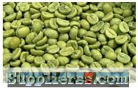 Green coffee bean extract ( Chlorogenic acid ) 45%.