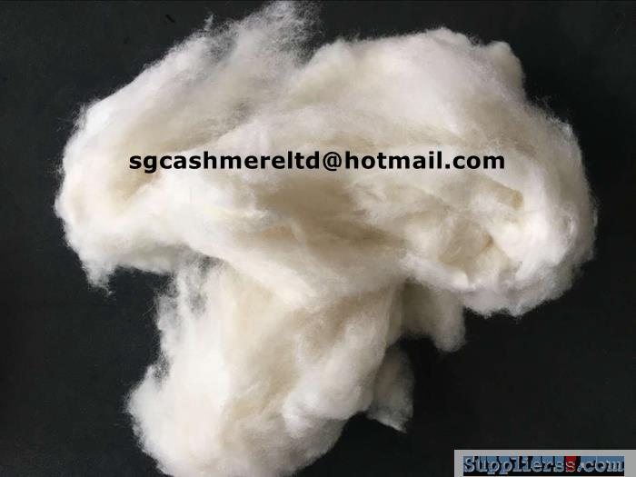 Chinese washed sheep carded wool dehaired yak cashmere fibre