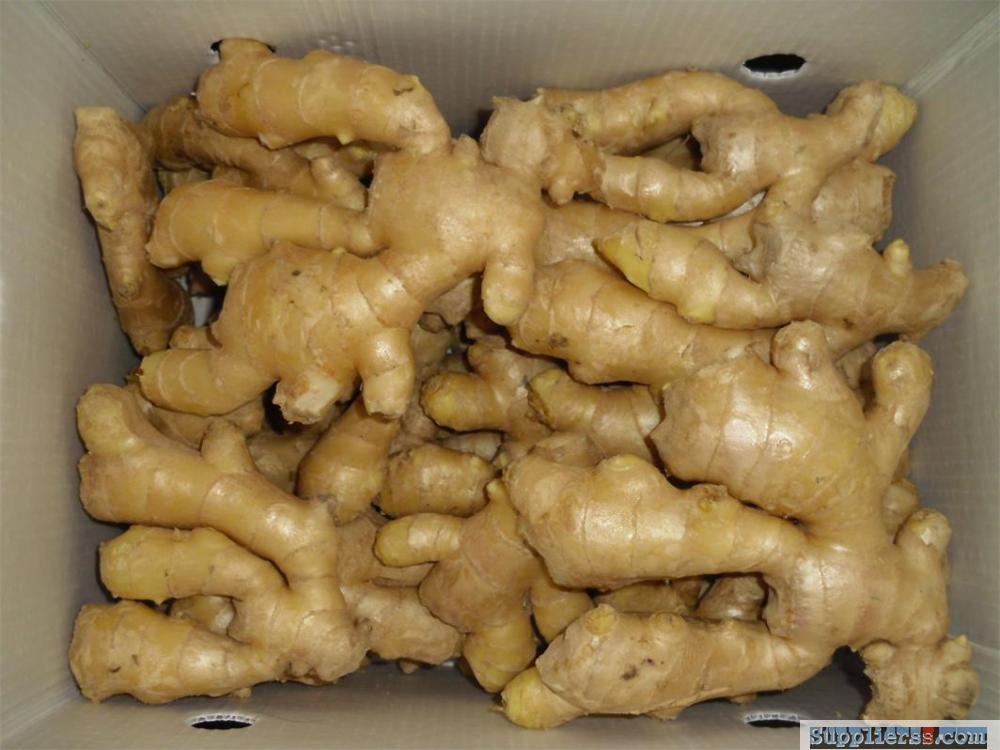 Air dried ginger 300g and up from Anqiu