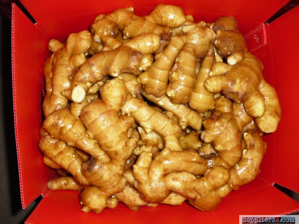 cheap price for ginger in good health