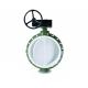 worm gear full lined PTFE concentric flange butterfly valve