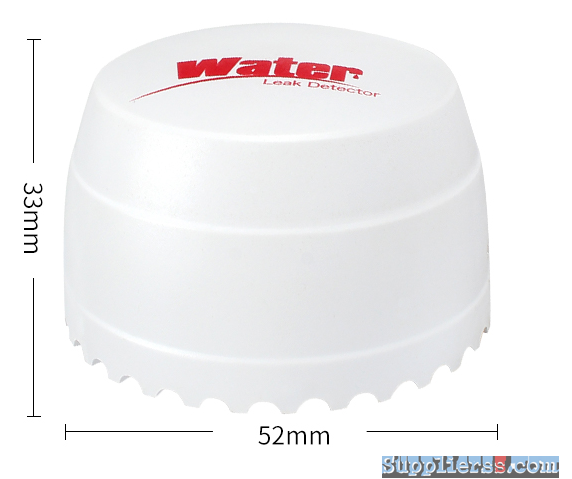 Wireless water leakage alarm detector with Mini appearance