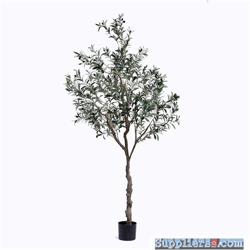 Plastic Olive Tree