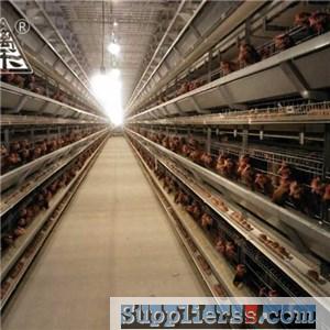 Egg Chicken Battery Cage