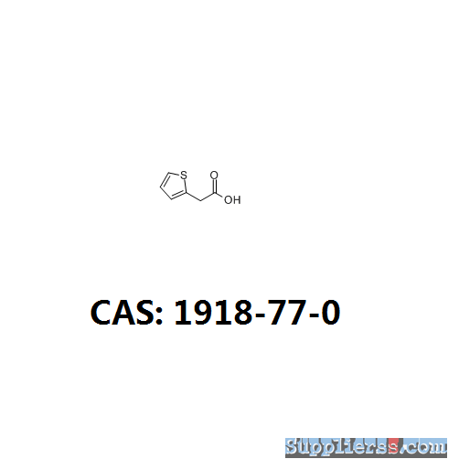 Thiopheneacetic acid pharmaceutical intermediate 1918-77-0