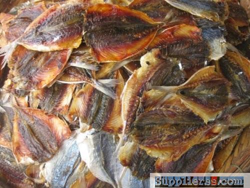 Dried yellow tail scad