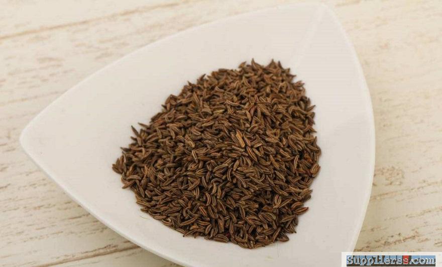 Hot Selling Pure Natural Dried Fennel