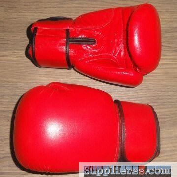 Boxing Gloves (Leather) Top-10 quality