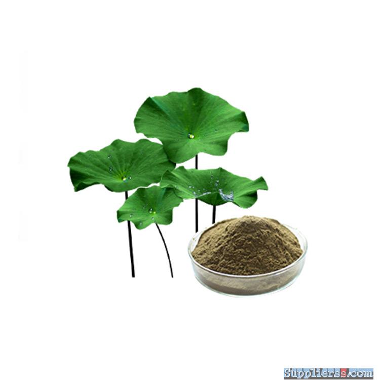 ISO&GMP manufactuer provide Lotus leaf extract powder body beautiful weight loss pills