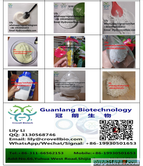 Methylamine hydrochloride CAS 593-51-1 Lily Whatsapp +8619930501653