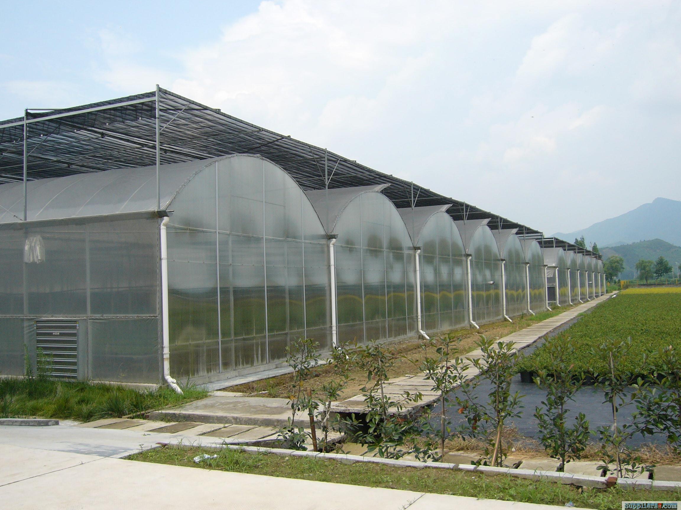 Multi Span Film Greenhouse