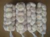 Different Package of Jinxiang Normal White Garlic