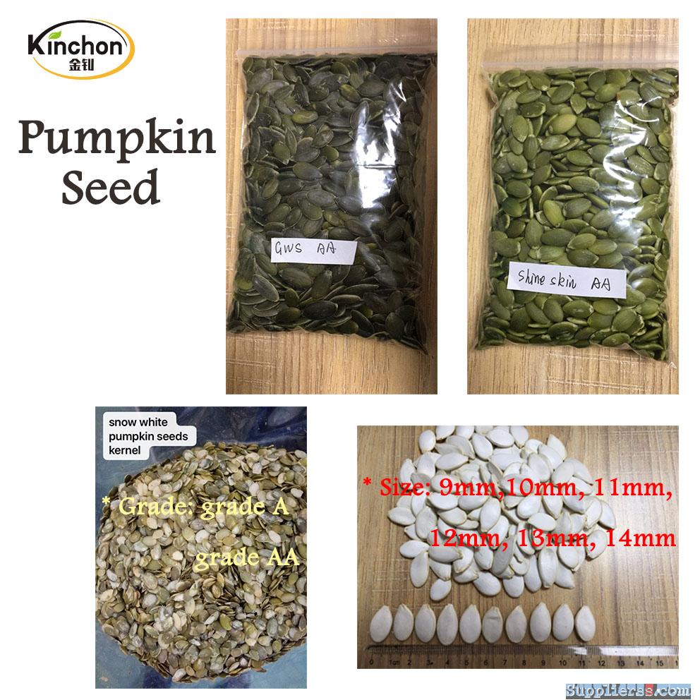 pumpkin seed