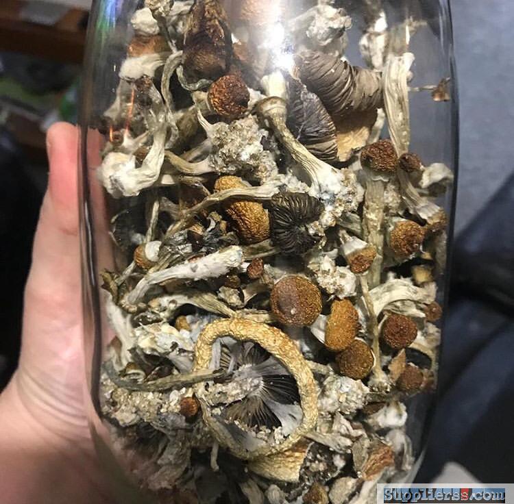 Wanted: magic Shrooms and psychedelics (chemresearchshop.com)