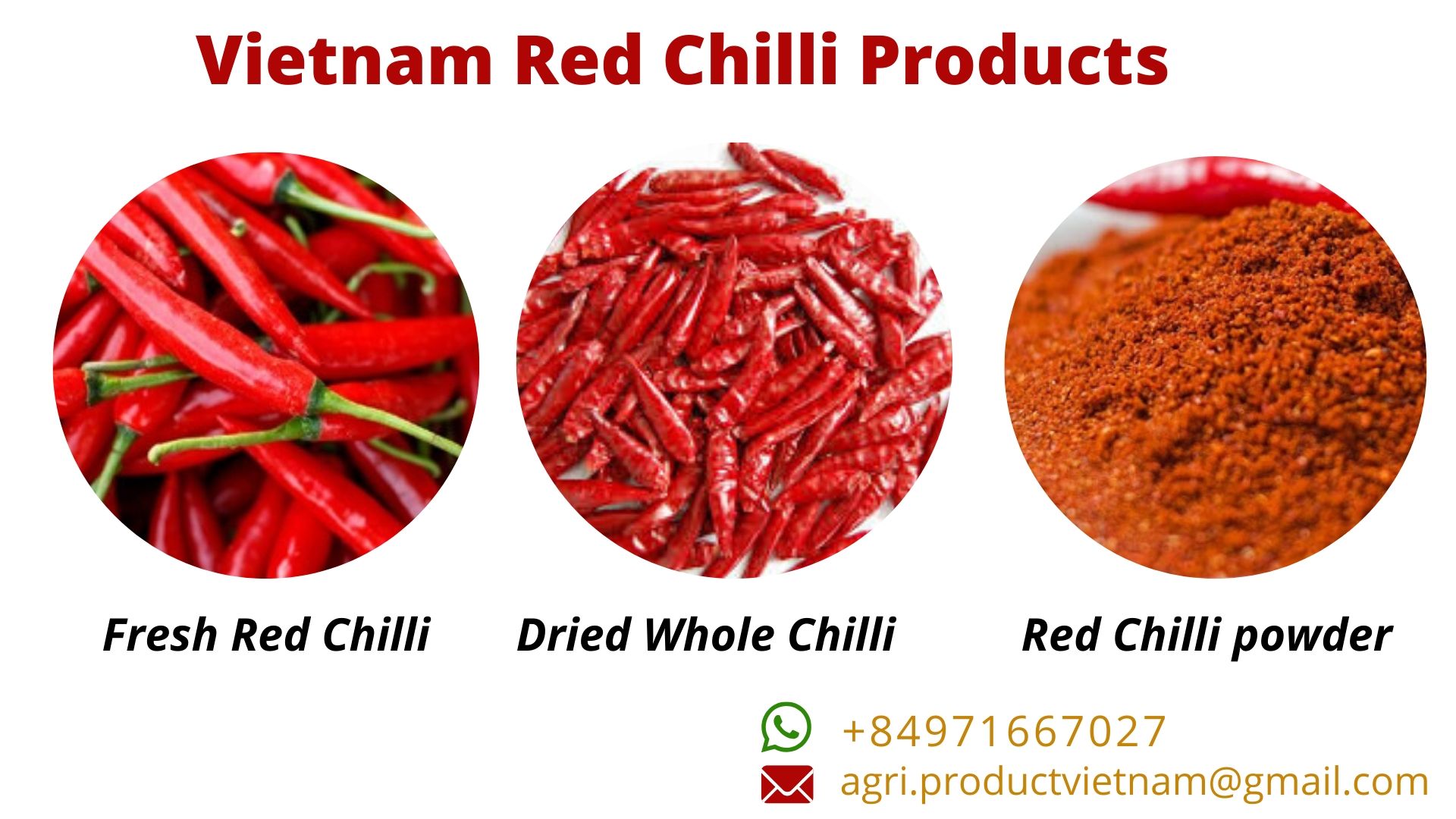 Vietnam Red Chili Pepper