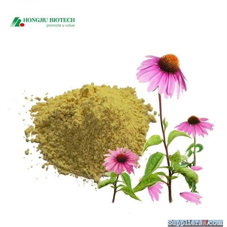 Echinacea Extract Powder