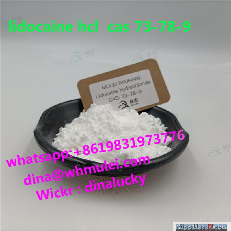 Top lidocaine hcl powder supplier 73-78-9 with lower price sell 73 78 9lidocaine (hcl) pow