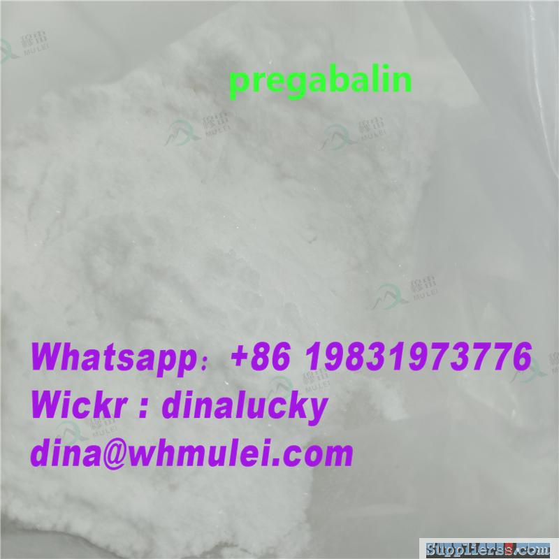 Top pregabalin powder supplier sell 148553-50-8 pregabalin powder with lower price pregaba