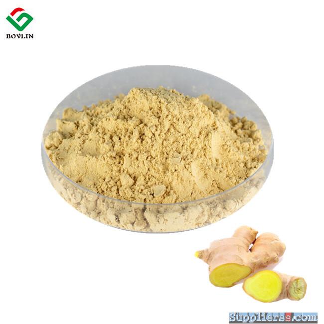 Best Selling Natural Organic Wild Ginger Extract Powder 20% Gingerol With Free Sample9